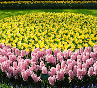 Парк Кекенхоф в Голандии