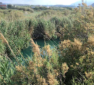 Inselrundfahrt Kreta