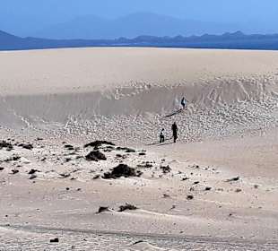 Dünen von Corralejo