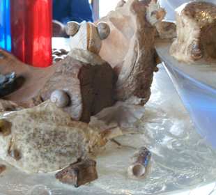 Sindbad Submarine - Wartebereich