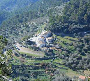 Restaurant Es Verger