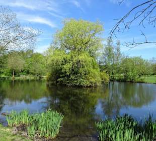 Eindrücke aus dem Walter-Peters-Park
