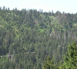 Skistadion Ruhestein