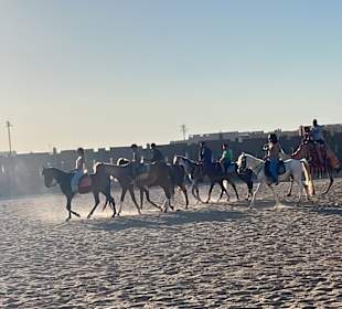 Reiten Hurghada