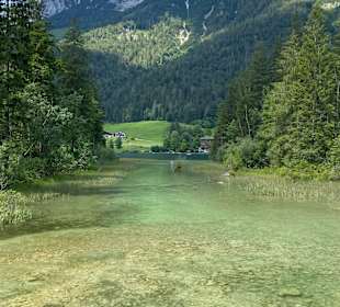 Zauberwald