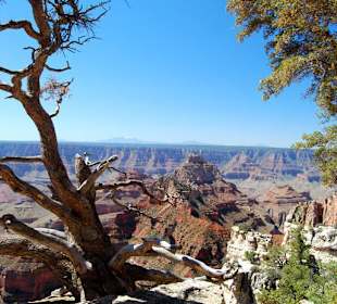 Grand Canyon North Rim