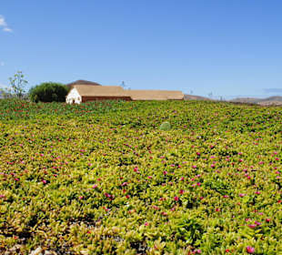 Innerhalb des Ecomuseums