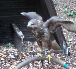 Zoo Olomouc