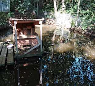 Wildpark Osterzgebirge