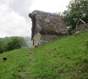 Archiologischer Stall in Stazzona