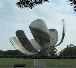 Floralis Generica