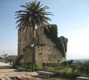 Castillo Guzmán el Bueno