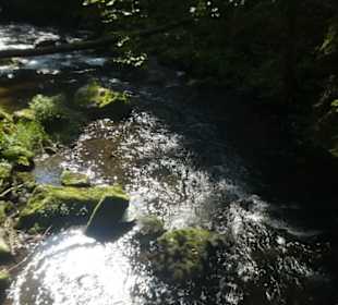 Wunderbare Wanderung am Großen Regen