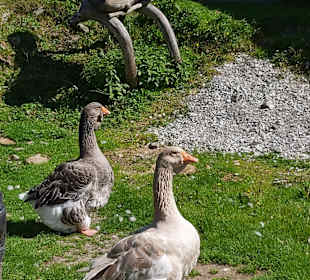 Wandern Berg im Drautal