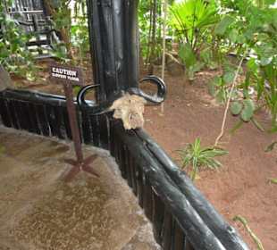 Deko im Innenbereich