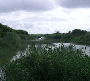 Naturpark S'Albufera