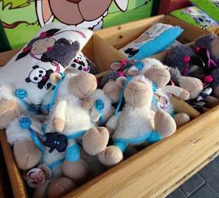 Rundgang durch den NICI Shop in Altenkunstadt