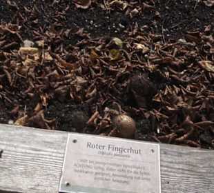 Kräutergarten