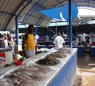 Fischmarkt in Negombo