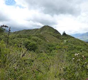 Blick in die Landschaft