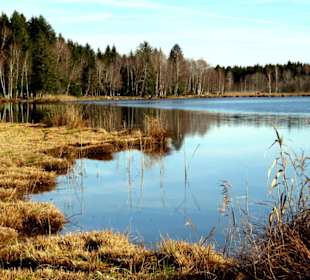 Am Seeufer im Spätherbst