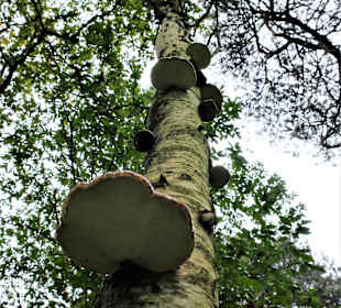 Wandern Datteln