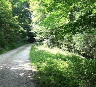 Premiumwanderweg "hochgesprudelt"