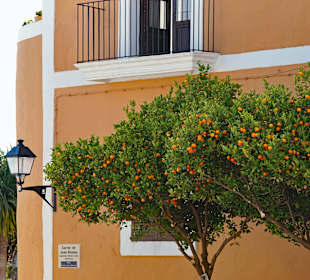 Altstadt-Impressionen