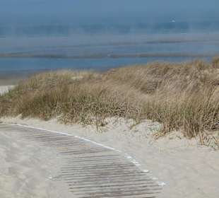 Dünenlandschaft auf Langeoog