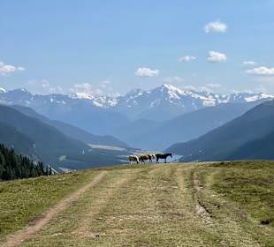 Wandern Reschen am See