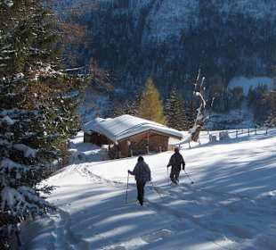 Wandern Wilderswil
