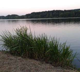 Stimmungsvoller Seeblick