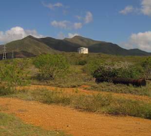 Ausblick - Fahrt mit Chiva Bus