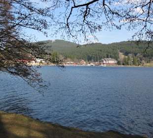 Titisee