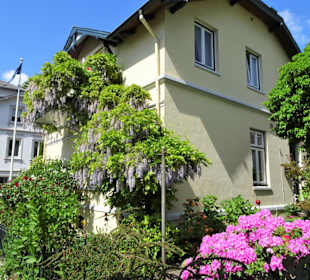 Impressionen aus dem Treppenviertel Blankenese