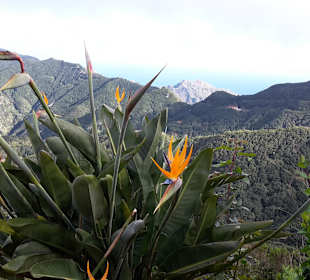 Ausflug Anaga-Gebirge 