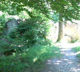 Ruine Hohenmelchingen