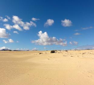 Impressionen aus der Dünenlandschaft