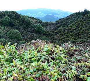 Inselrundfahrt Faial