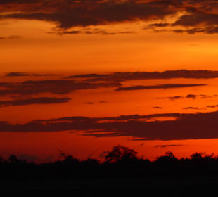 Sonnenuntergang im Ambroseli Park