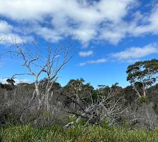 Freycinet-Nationalpark
