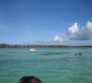 Saona