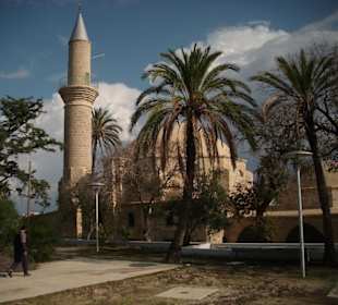 Moschee mit Palmen umgeben