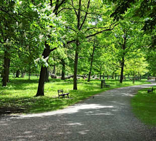 Eindrücke aus dem Tiergarten Hannover