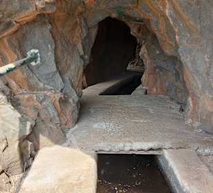Wandern Funchal