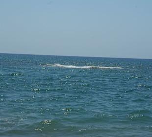 Weiter draußen, die Felsenplatten