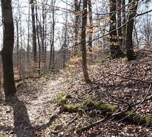 Geologischer Lehrpfad Kirnbachtal