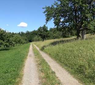 Eduard Lucas Musterobstgarten Mähringen