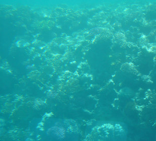 Submarine Sharm
