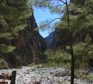 Schlucht unten